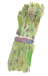 asparagus_new