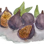 figs_for site
