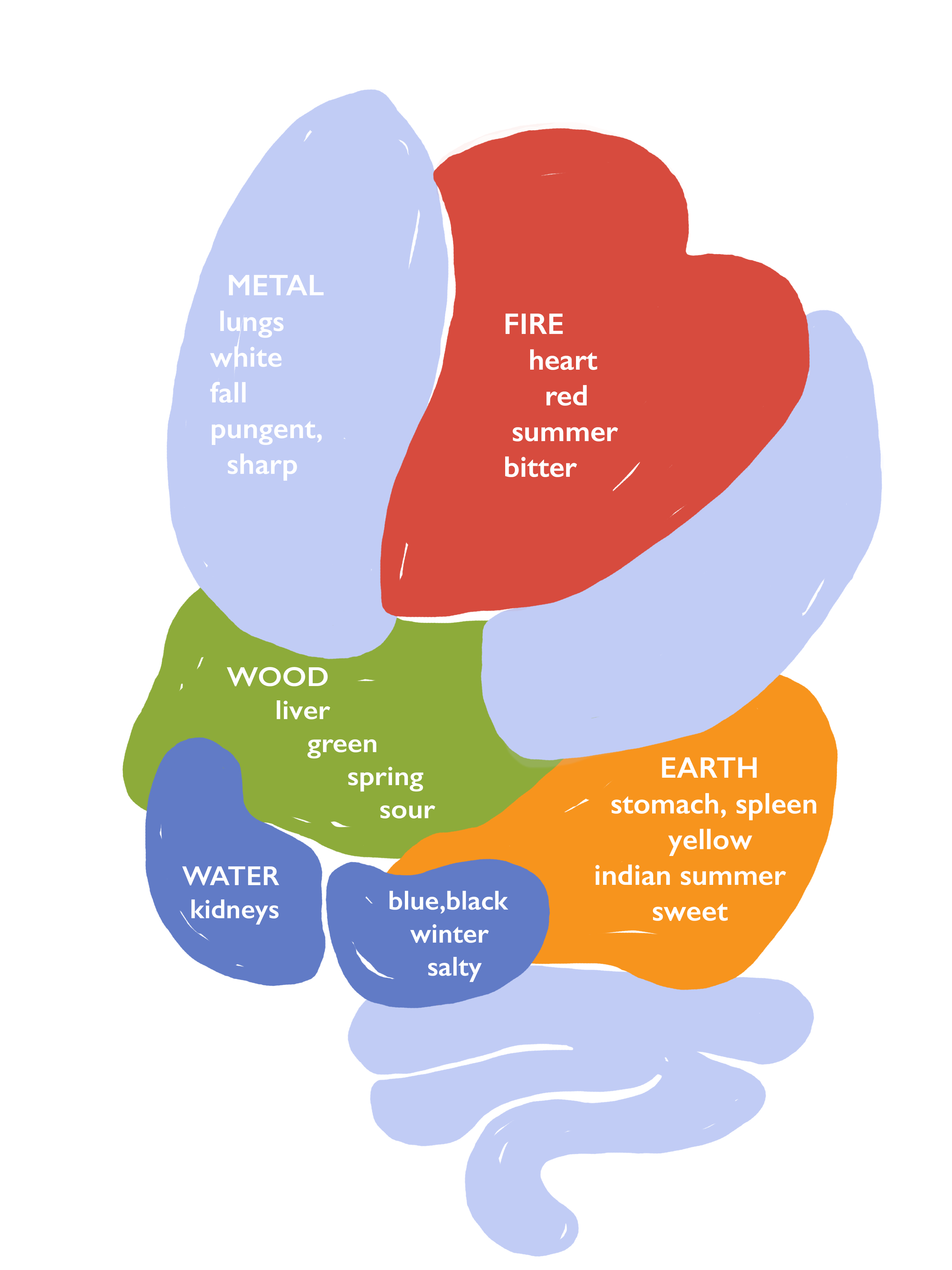 5 Elements Food Chart